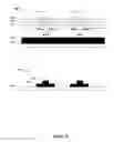 Fig. 09 - Black matrix structures for displays devices