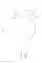 Fig. 09 - Illuminating unit and projection display apparatus