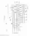 Fig. 02 - Developing device and image forming apparatus