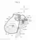 Fig. 04 - Image forming apparatus