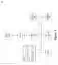 Fig. 02 - Automatic detection of optimal compute unit partitioning