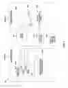 Fig. 07 - Context-aware translation memory to facilitate more accurate translation