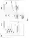 Fig. 07 - CONTEXT-AWARE TRANSLATION MEMORY TO FACILITATE MORE ACCURATE TRANSLATION
