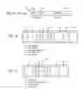 Fig. 02 - Chunk header incorporating binary flags and correlated variable-length fields
