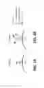 Fig. 02 - Methods and systems for providing epitope tagged biomolecules