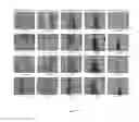 Fig. 06 - Method of using genetic architecture of phenomic-enabled canopy coverage in 