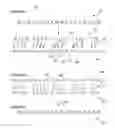 Fig. 01 - Buffer index format and compression