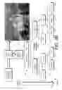 Fig. 06 - Enhanced vectorization of raster images