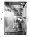 Fig. 02 - Automatic physical access