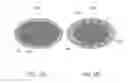 Fig. 16 - Drone carrier