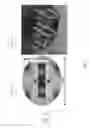 Fig. 06 - Quench protected structured superconducting cable