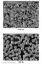 Fig. 02 - Fe-Based, Soft Magnetic Alloy