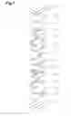 Fig. 08 - Method for manufacturing laminated coil component
