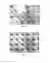Fig. 11 - IMAGE SENSOR WITH HEATING EFFECT AND RELATED METHODS