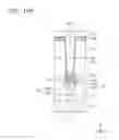 Fig. 33 - Integrated circuit device and method of manufacturing the same