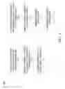 Fig. 06 - Dummy gate structure and methods thereof