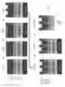 Fig. 02 - Methods of forming interdigitated back contact solar cells