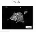 Fig. 04 - Photoelectric conversion material and solar cell using the same
