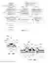 Fig. 08 - LED assembly for omnidirectional light appliances