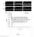 Fig. 22 - Methods and apparatus for controlling electrodeposition using surface charge properties