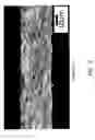 Fig. 06 - Plate-shaped lithium composite oxide