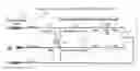 Fig. 01 - SMART LOW VOLTAGE DIRECT CURRENT INFRASTRUCTURE