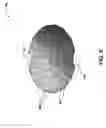 Fig. 06 - Flexible battery