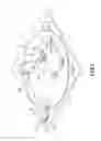 Fig. 06 - SOLAR TRACKING DEVICE