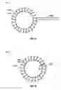 Fig. 08 - Magnetically coupled contactless damper