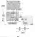 Fig. 01 - Method and apparatus for facilitating establishing and maintaining communication services