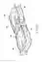 Fig. 08 - Camera module having lens barrel