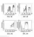 Fig. 07 - Detecting a folded page in a digital image of a scanned document