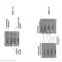Fig. 04 - Dynamic printing system compensation mechanism