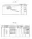 Fig. 48 - Broadcast receiving apparatus, output video information generating method, broadcast receiving method, and video recording method