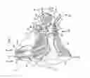 Fig. 02 - Advanced artificial sound hearing training