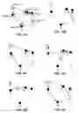 Fig. 16 - Routes discovery in wireless networks with directional transmissions