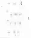 Fig. 09 - Wi-Fi communication of wireless emergency alerts