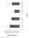 Fig. 09 - PLANT HORMONE APPLICATION
