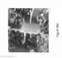 Fig. 45 - PLANT HORMONE APPLICATION