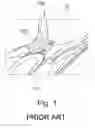 Fig. 02 - Sole for a shoe