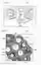 Fig. 09 - Sole for a shoe