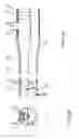 Fig. 04 - Apparatus and method for coupling between a colonoscope and add-on tubes
