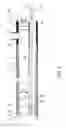Fig. 06 - Apparatus and method for coupling between a colonoscope and add-on tubes