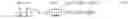 Fig. 07 - Quantitative dermoscopic melanoma screening