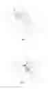 Fig. 02 - Implantable sealing device