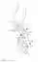 Fig. 02 - Adaptive robotic finger prosthesis for grasping arbitrary object shape