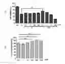 Fig. 01 - Cosmetic composition for preventing or ameliorating skin damage caused by ultraviolet light