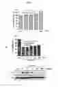 Fig. 06 - Cosmetic composition for preventing or ameliorating skin damage caused by ultraviolet light