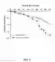 Fig. 03 - Adenovirus forumations