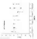 Fig. 06 - Adenovirus forumations